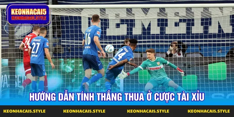 cach choi chi tiet cho lua chon keo tai xiu cach choi chi tiet cho lua chon keo tai xiu